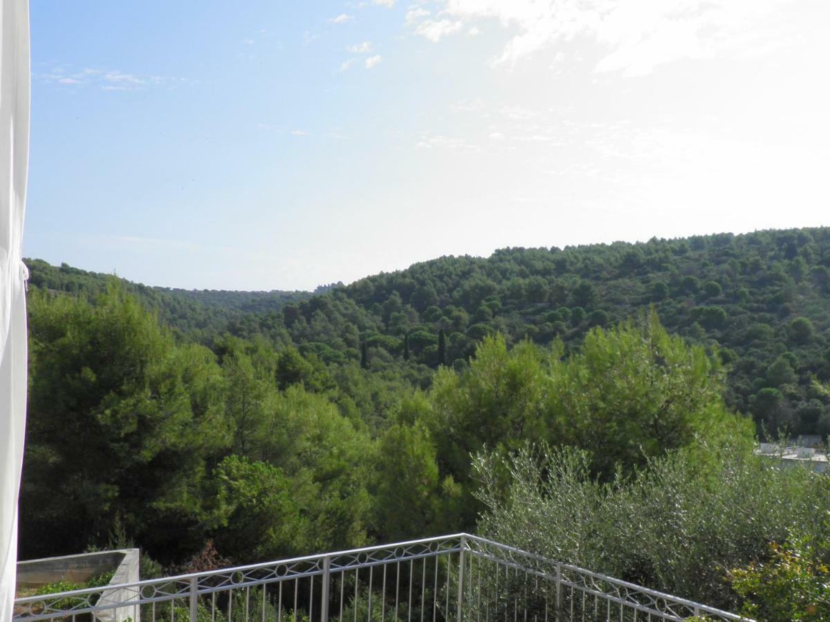 Apartments Horizont تروغير المظهر الخارجي الصورة